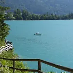 Bergblick 411 Am Wolfgangsee 施特罗布尔