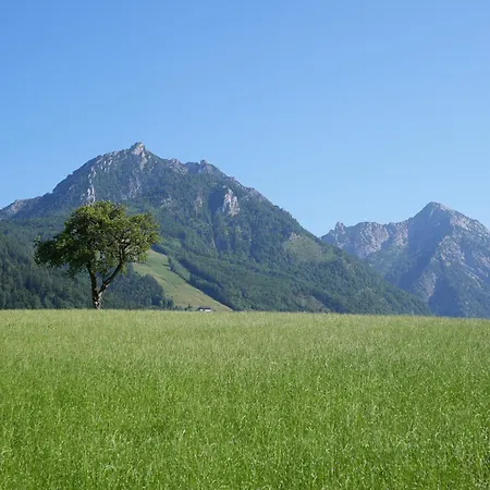 Bergblick 411 Am Wolfgangsee Apartment Strobl