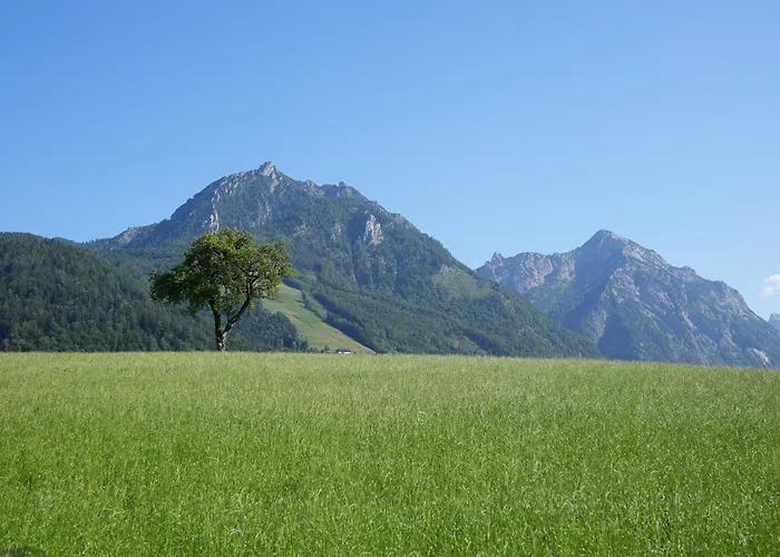 Bergblick 411 Am Wolfgangsee Apartment Strobl